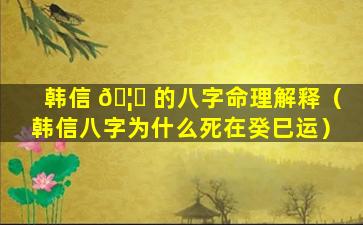 韩信 🦊 的八字命理解释（韩信八字为什么死在癸巳运）